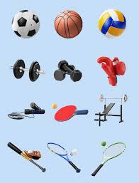 bsports必一体育 室内锻炼上肢的健身器材